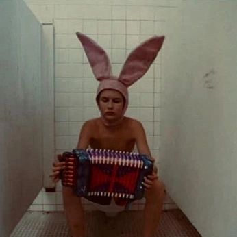 A cover of "american beauty" cluster. The owner is erikjagger. The cluster description is "a yearning nostalgia for an upbringing I will never experience". The cluster consists of 97 elements.