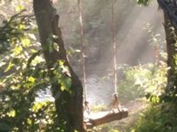 A cover of "FAIRY" cluster. The owner is crumbrichard. The cluster consists of 44 elements.