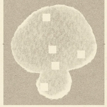 A cover of "inspo" cluster. The owner is rheapbora. The cluster consists of 84 elements.