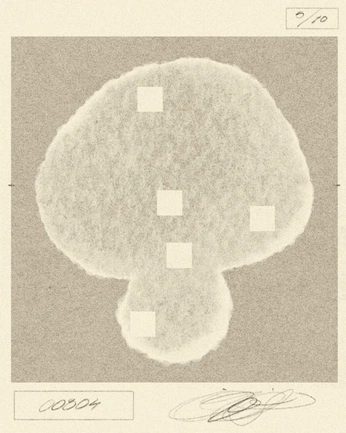 A cover of "Vibes" cluster. The owner is amelie01. The cluster consists of 11 elements.
