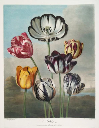 A cover of "Brief Club" cluster. The owner is mrpapertigers. The cluster consists of 11 elements.