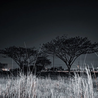 A cover of "my works 📸" cluster. The owner is withtasin. The cluster description is "a cluster for pictures and videos that only I shot". The cluster consists of 117 elements.