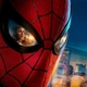 spidermansubindo