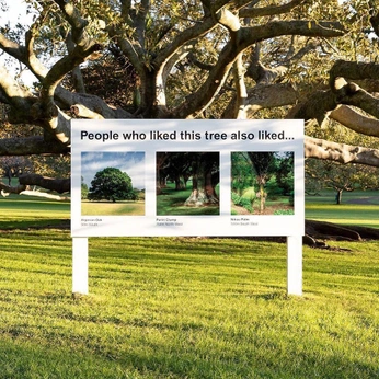 A cover of "Nuanced humor" cluster. The owner is calicore. The cluster consists of 1 element.