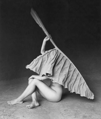 A cover of "zane" cluster. The owner is m1rvn4. The cluster consists of 1 element.