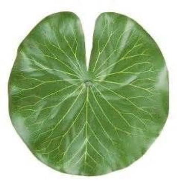 A cover of "Stencil" cluster. The owner is ajpinz. The cluster consists of 13 elements.