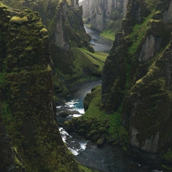 A cover of "Nature Video/photography" cluster. The owner is harleyann. The cluster consists of 38 elements.