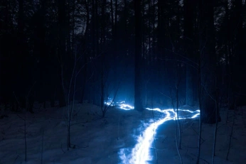 A cover of "OCHSNER" cluster. The owner is jbkrauss. The cluster consists of 57 elements.