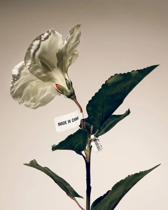 A cover of "EcoRoots Ref" cluster. The owner is jonathanworks. The cluster consists of 14 elements.