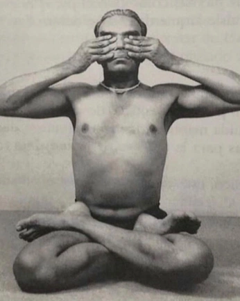 A cover of "leorayoga" cluster. The owner is leorayoga. The cluster consists of 84 elements.