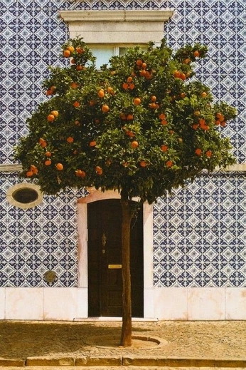 A cover of "Portugal" cluster. The owner is blancobungalow. The cluster consists of 22 elements.