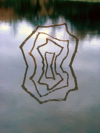 An image added by irvingdiptera on Nov 04, 2023. May present: tints and shades, water, natural landscape, wood, art.