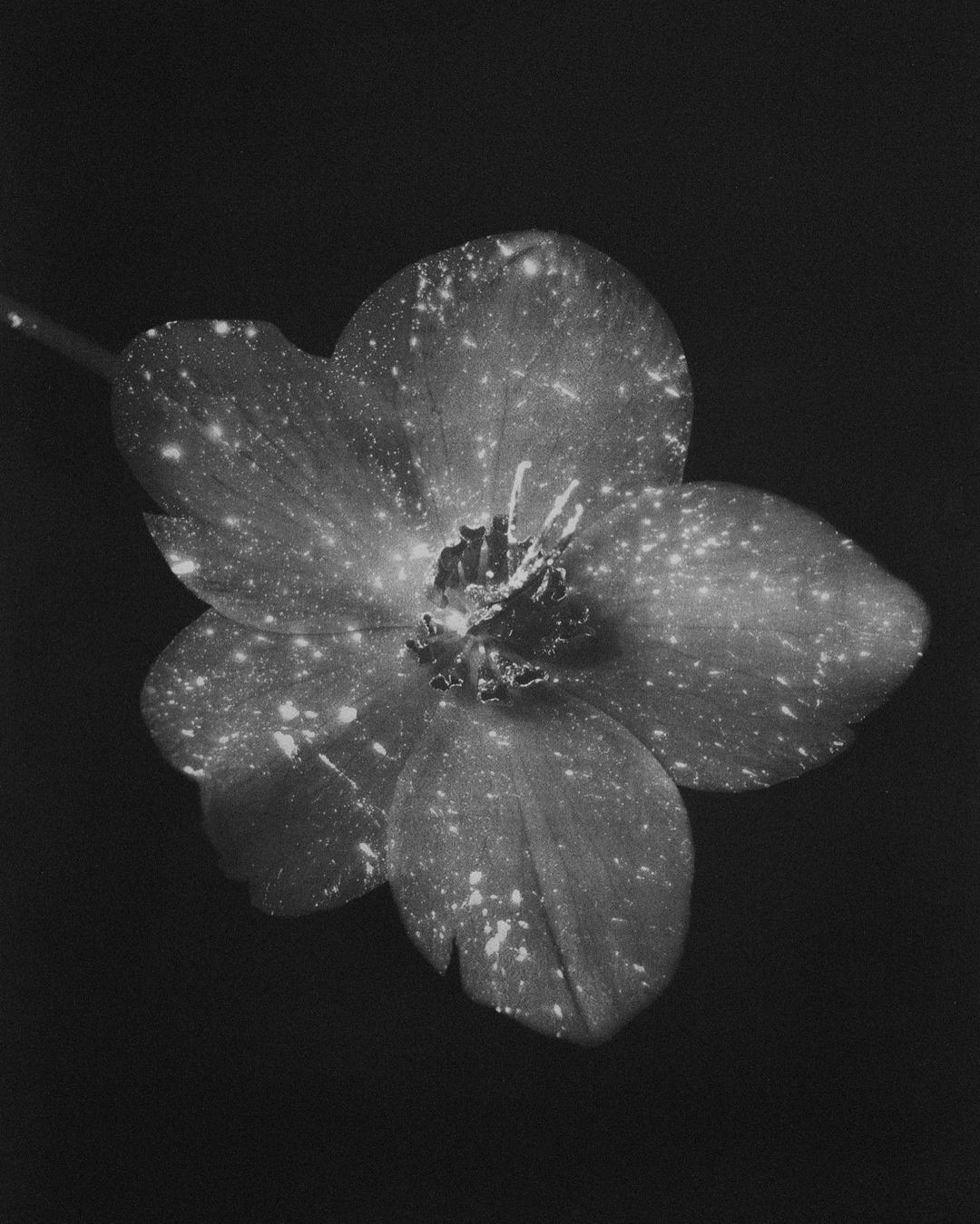 Half realisric tattoo