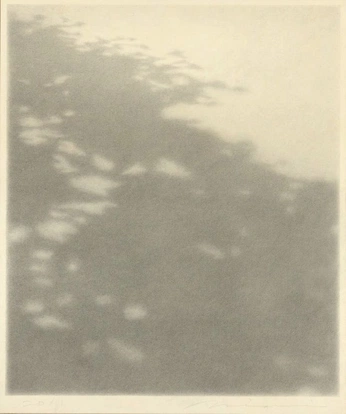 A cover of "layers" cluster. The owner is diz505. The cluster consists of 1 element.