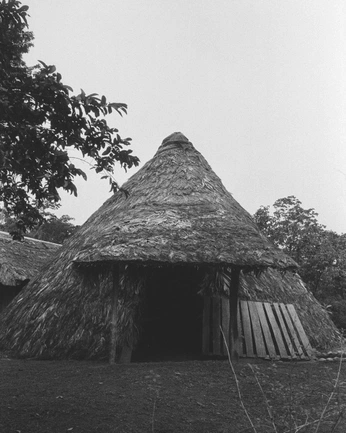 A cover of "B&W" cluster. The owner is markon. The cluster consists of 24 elements.