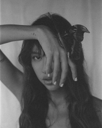 A cover of "references" cluster. The owner is ph0bics. The cluster consists of 2 elements.