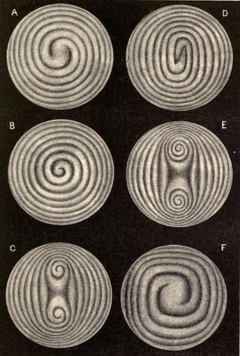 A cover of "Drawing" cluster. The owner is enjoz. The cluster consists of 7 elements.