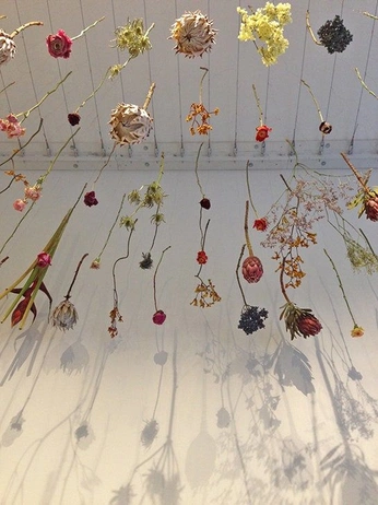 A cover of "Floral" cluster. The owner is izzylily. The cluster consists of 2 elements.