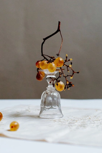 A cover of "still life" cluster. The owner is heathergill. The cluster consists of 25 elements.