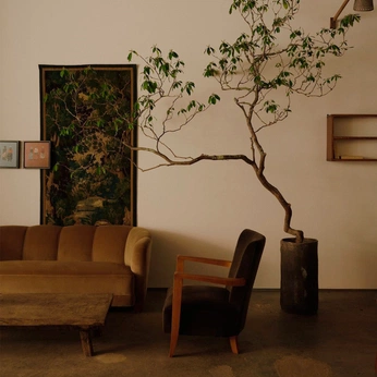 A cover of "Dream Office" cluster. The owner is hausofmargo. The cluster description is "the only way I'd stop WFH". The cluster consists of 6 elements.