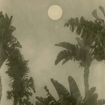 A cover of "Fa_le" cluster. The owner is mingnomchong. The cluster consists of 158 elements.