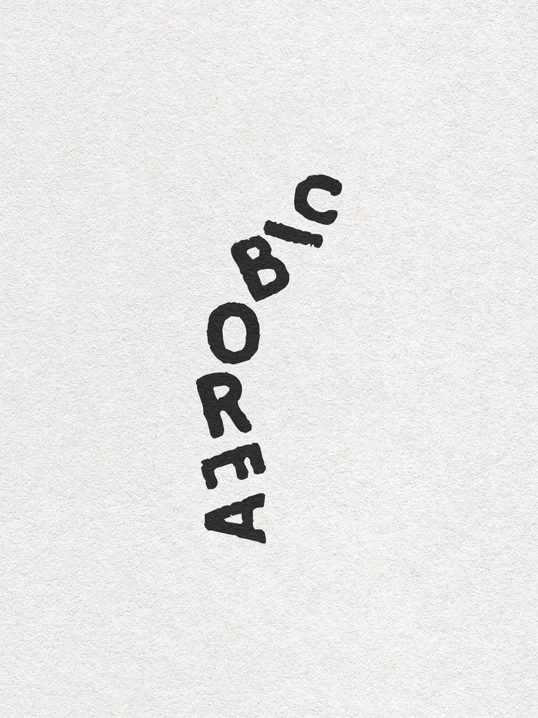 Handmade Aerobic Assets for Aerobic Coalition, 2023.
