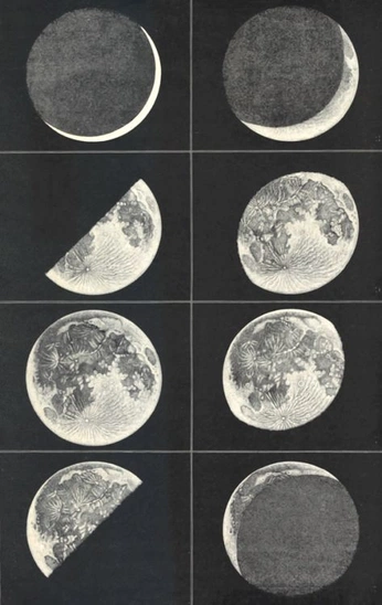 A cover of "la luna" cluster. The owner is cygnoir. The cluster consists of 36 elements.