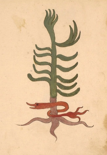 A cover of "art" cluster. The owner is liaaah8a. The cluster consists of 1 element.