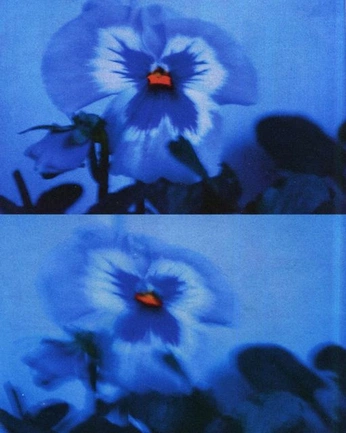 A cover of "Fashion" cluster. The owner is ems.e. The cluster consists of 5 elements.