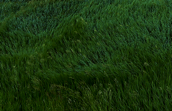 A cover of "breath" cluster. The owner is jonathanhorst. The cluster consists of 12 elements.