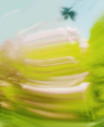 A cover of "Groups" cluster. The owner is jakebelmonte. The cluster consists of 22 elements.