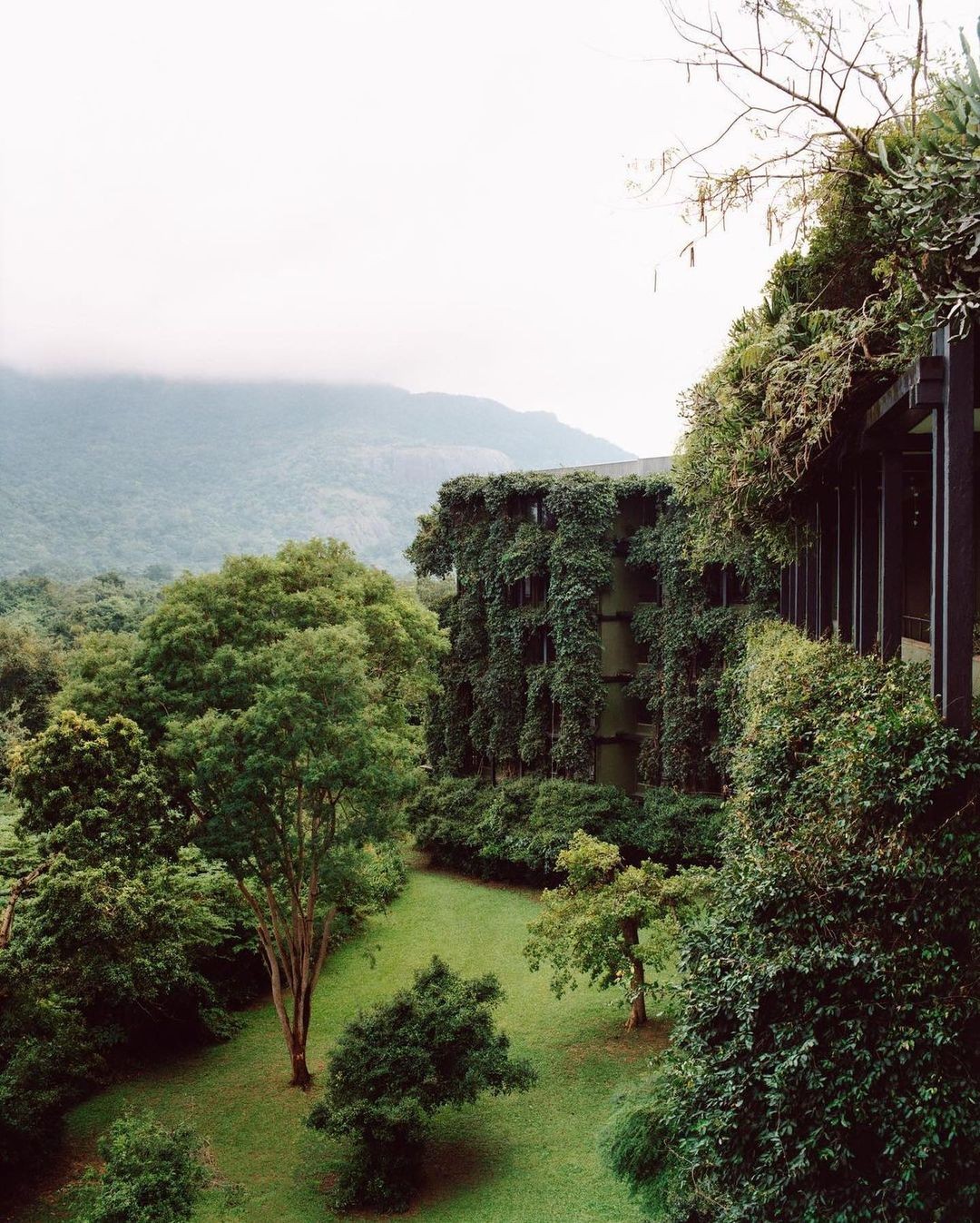 The Kandalama hotel in Sri Lanka, designed by Geoffrey Bawa. Photo by Harry Crowder.