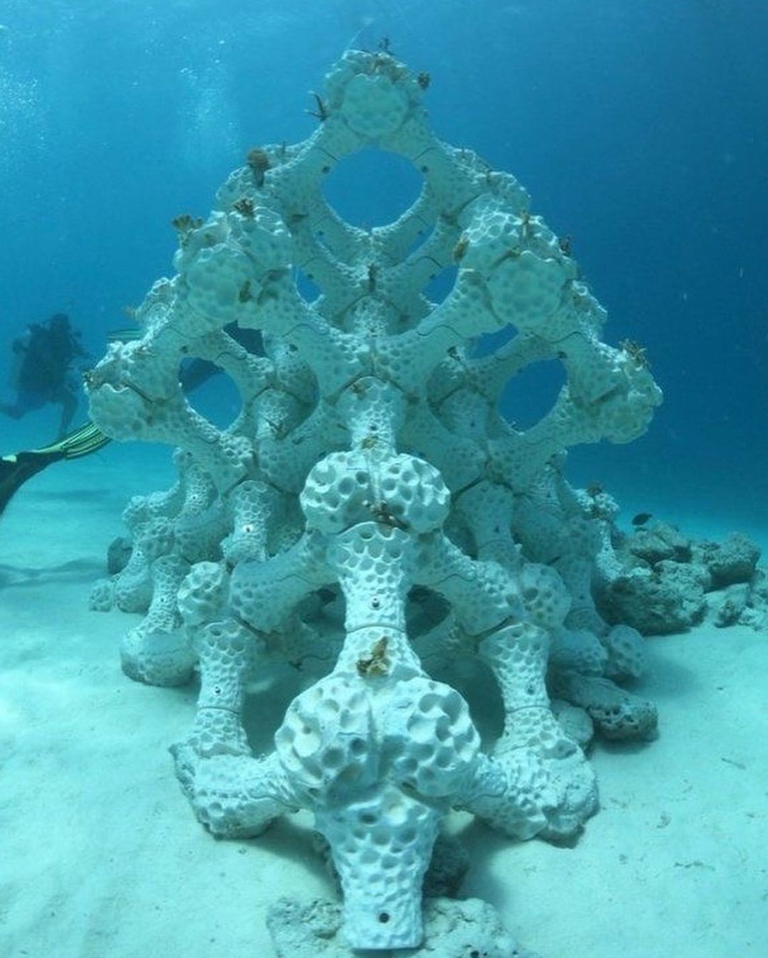 An Instagram carousel post added on Dec 09, 2023. The author is @grace_morenko.