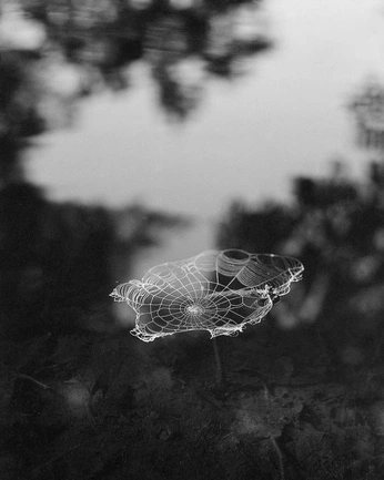 A cover of "✦ witch ✦" cluster. The owner is lunarosexx. The cluster consists of 13 elements.