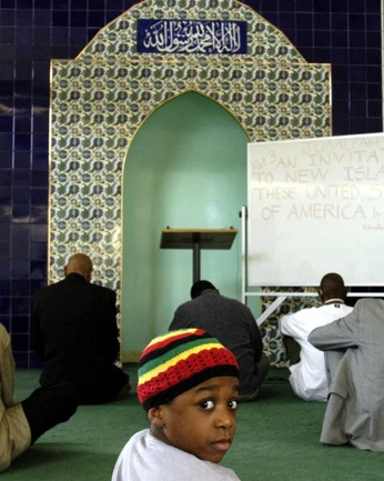 A cover of "Photography" cluster. The owner is shabenam. The cluster consists of 41 elements.