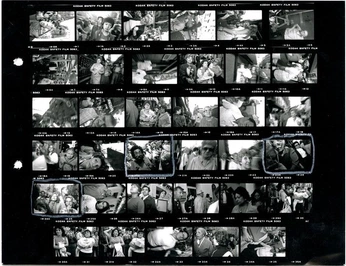 A cover of "Shotlist Studios" cluster. The owner is shotliststudios. The cluster consists of 12 elements.