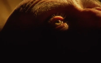 A cover of "youtube thumbnail 001" cluster. The owner is jerichohouse. The cluster description is "“deus vult”". The cluster consists of 19 elements.