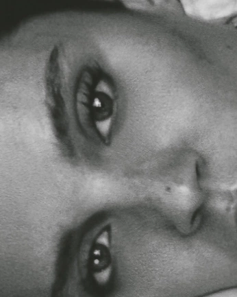 A cover of "photography" cluster. The owner is vivireve. The cluster consists of 31 elements.