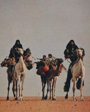 A cover of "mirage" cluster. The owner is lunarera. The cluster consists of 5 elements.