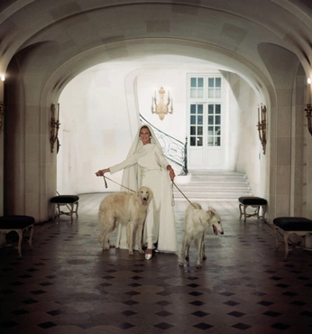 A cover of "ARETÉ" cluster. The owner is philippapatricia. The cluster consists of 126 elements.