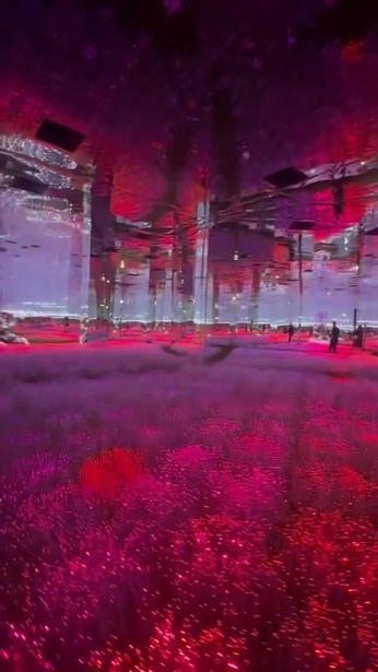 A cover of "immersive worlds" cluster. The owner is giaclemente. The cluster consists of 14 elements.