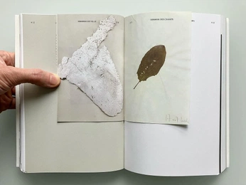 A cover of "EDITORIAL RO" cluster. The owner is rochi.cc. The cluster consists of 75 elements.