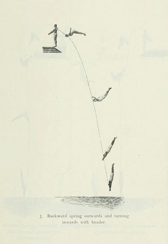 A cover of "Info Viz" cluster. The owner is undersight. The cluster consists of 3 elements.