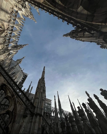 A cover of "BACK" cluster. The owner is matteino. The cluster consists of 5 elements.