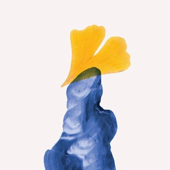 A cover of "dec studio [guest br]" cluster. The owner is bybia. The cluster consists of 30 elements.