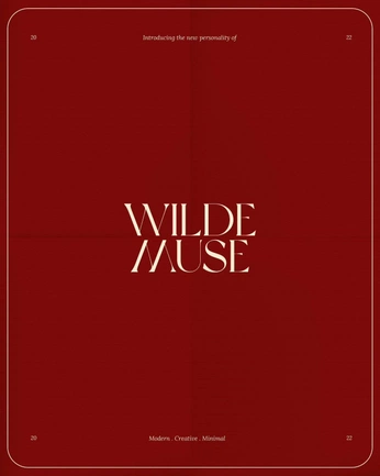 A cover of "fashion designer" cluster. The owner is nikki123. The cluster consists of 1 element.