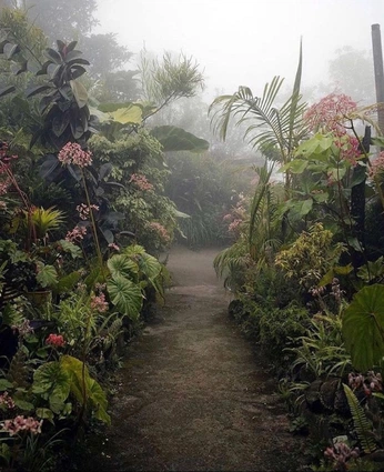 A cover of "Jardins" cluster. The owner is eglantine.boidmt. The cluster consists of 12 elements.