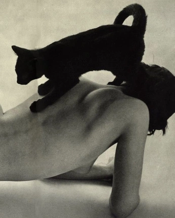 A cover of "personal identification" cluster. The owner is tashayoung. The cluster consists of 3 elements.