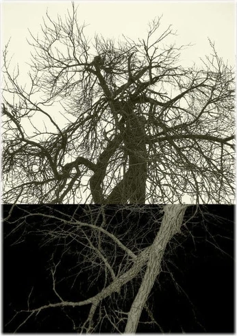 A cover of "Estilismo" cluster. The owner is youknowvvt. The cluster consists of 4 elements.