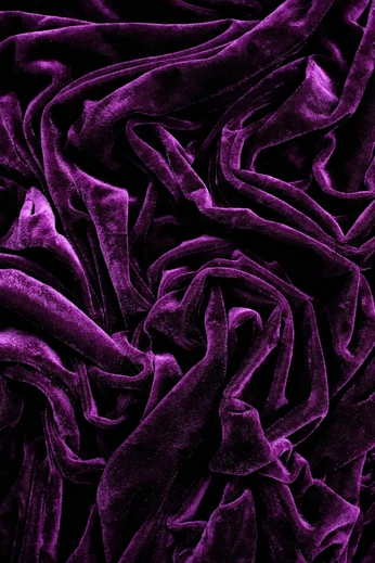 A cover of "Violeta aterciopelado" cluster. The owner is albertoflores. The cluster consists of 1 element.